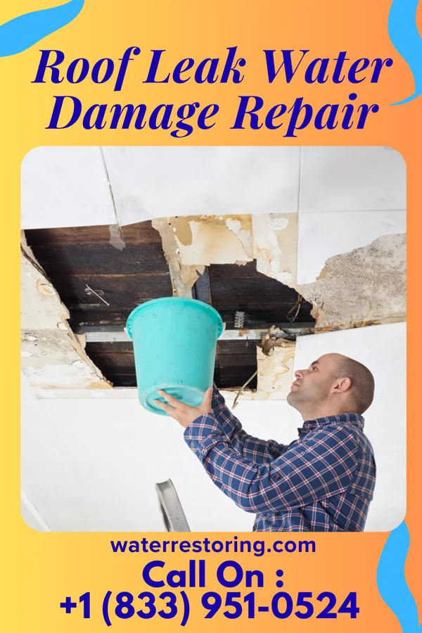Roof Leak Water Damage Repair in Chelsea, WI